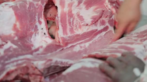 Butcher Hands Cuts Meat Closeup — Stock Video