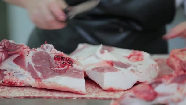 Mãos Açougueiro Corta Close Carne — Vídeo de Stock