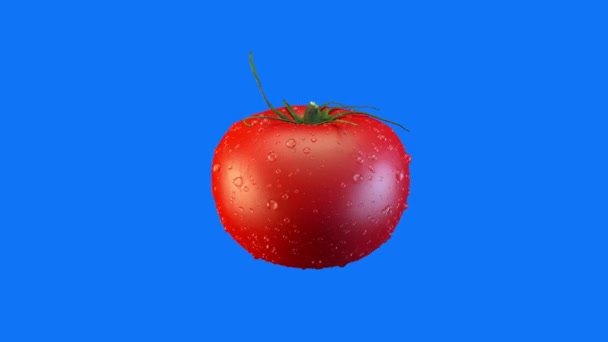 Tomate Wassertropfen Auf Blauem Hintergrund Render — Stockvideo