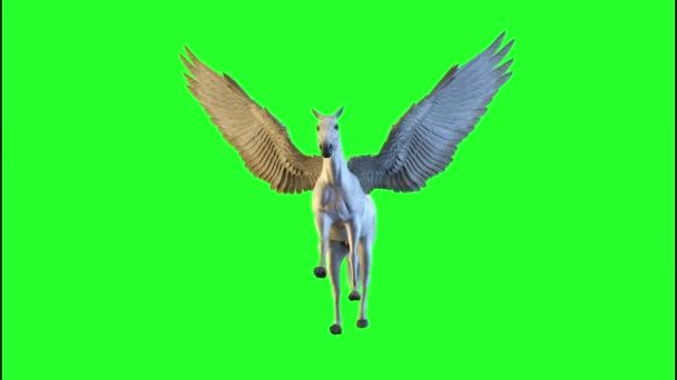 Cavalo Com Asas Pegasus Voa Fundo Verde Renderizar — Vídeo de Stock