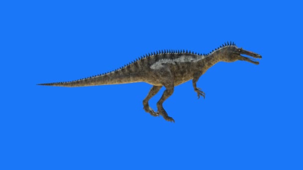 Dinosaurier Auf Blauem Hintergrund Renderer — Stockvideo