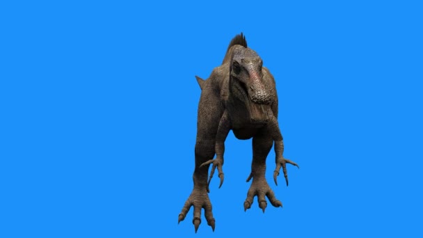 Δεινόσαυρος Μπλε Φόντο Καθιστούν — Αρχείο Βίντεο