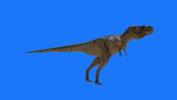 Dinosaurio Sobre Fondo Azul Render — Vídeo de stock