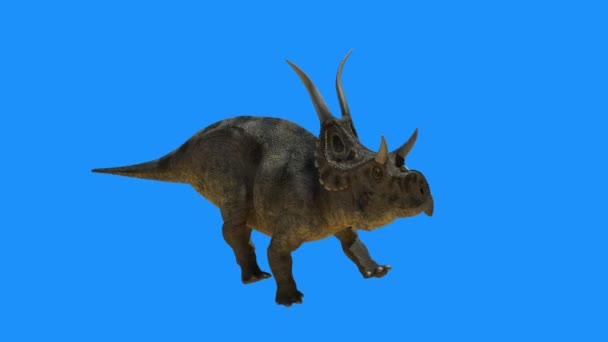 Kék Háttér Render Dinoszaurusz — Stock videók