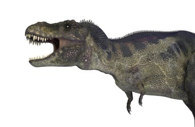 3D çizim için bir dinozor Tyrannosaurus Rex beyaz arka plan üzerinde