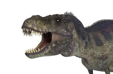 3D çizim için bir dinozor Tyrannosaurus Rex beyaz arka plan üzerinde