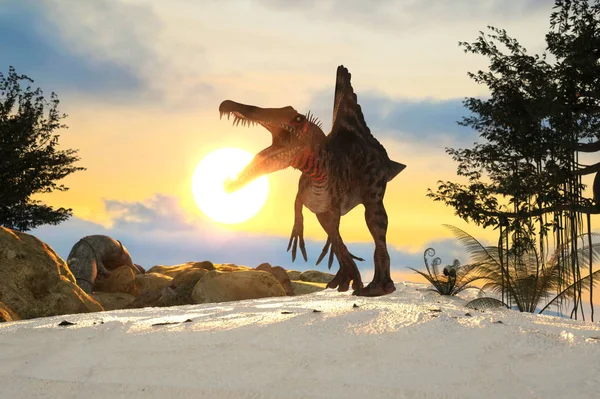 Renderowania Ilustracja Sylwetka Dinozaura Tyranozaura Zachodzie Słońca — Zdjęcie stockowe