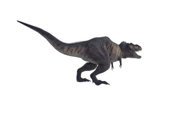 Illustration Dinosaurie Tyrannosaurus Rex Vit Bakgrund — Stockfoto