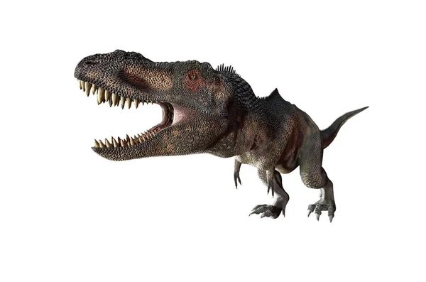 Illusztráció Egy Dinoszaurusz Tyrannosaurus Rex Fehér Háttér — Stock Fotó