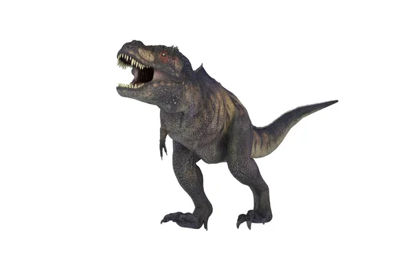 Çizim Için Bir Dinozor Tyrannosaurus Rex Beyaz Arka Plan Üzerinde — Stok fotoğraf