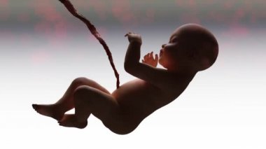 Annemin rahim 3d render insan bebek