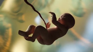 Annemin rahim 3d render insan bebek