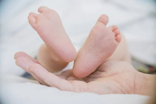 Die Füße Des Babys Den Händen Der Mutter Nahaufnahme — Stockfoto