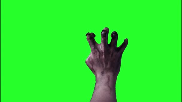 Mano Zombie Uno Sfondo Verde Halloween — Video Stock