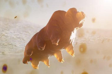 Açık arkaplanda Tardigrada 3d oluşturma