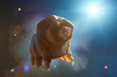 Tardigrada in space 3d render