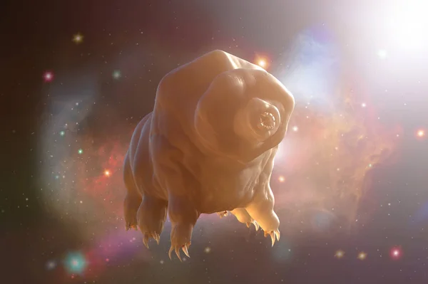 Tardigrada Espacio Render — Foto de Stock