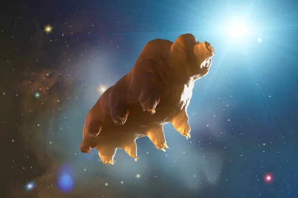Tardigrada in space 3d render