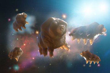 Tardigrada in space 3d render