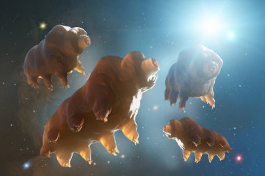 Tardigrada in space 3d render