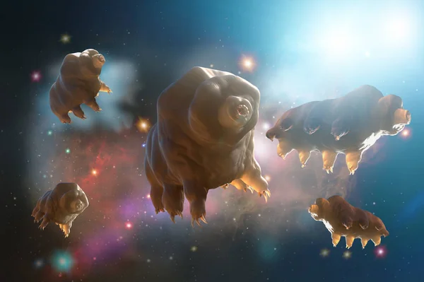 太空中的Tardigrada 3D渲染 — 图库照片