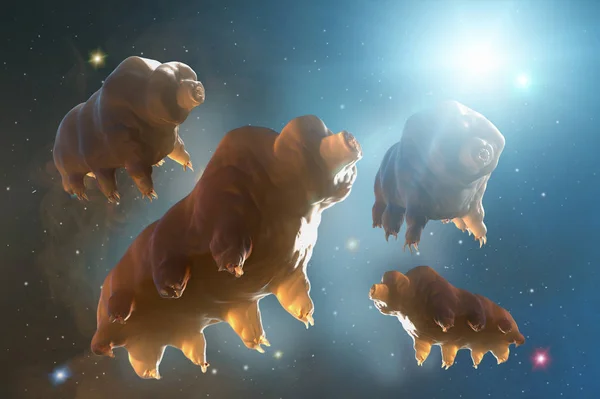 太空中的Tardigrada 3D渲染 — 图库照片