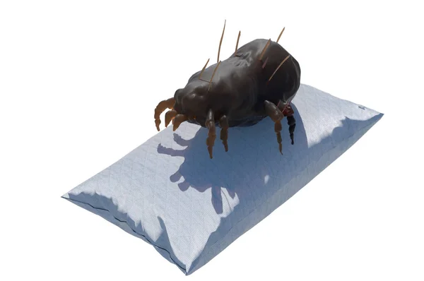 house dust mite on pillow 3d render