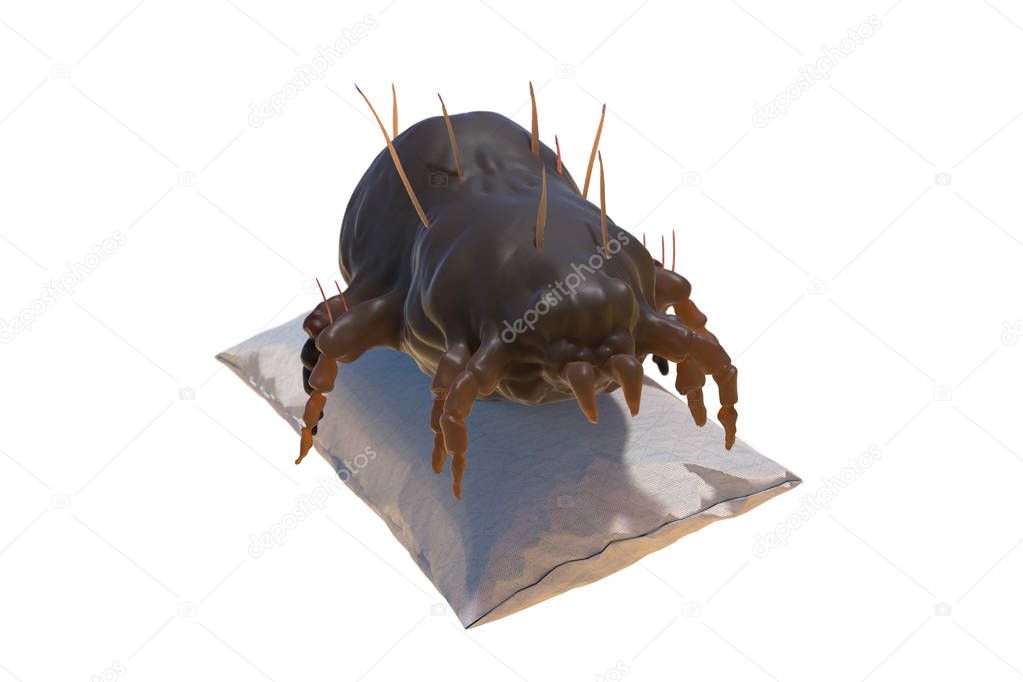 house dust mite on pillow 3d render