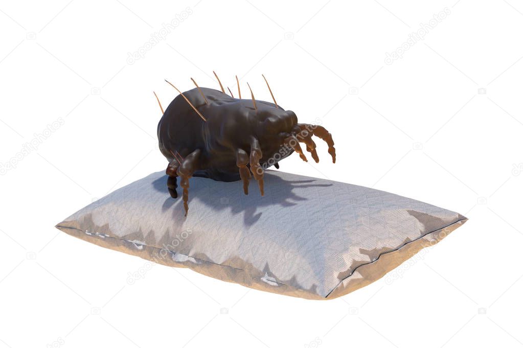 house dust mite on pillow 3d render