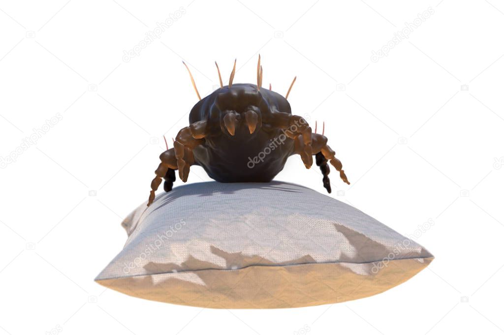 house dust mite on pillow 3d render