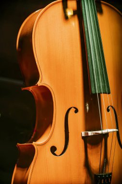 Çello, müzik aletini kapat