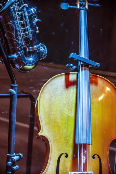 Violoncelo Close Instrumento Musical — Fotografia de Stock