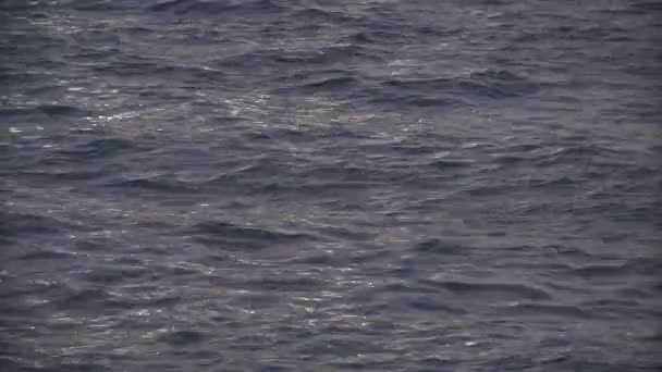 Arka Planda Denizin Yüzeyi — Stok video