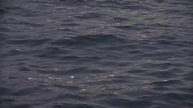 arka planda denizin yüzeyi