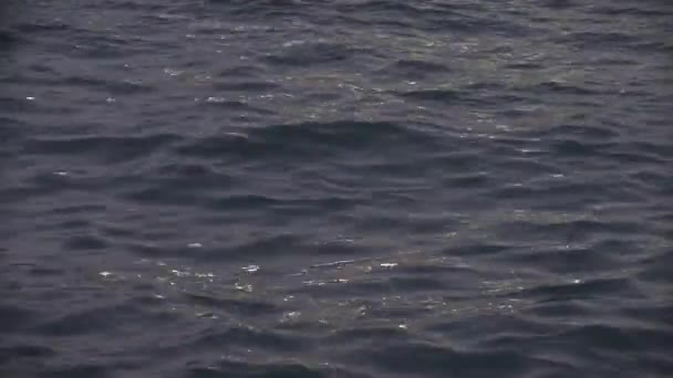 Arka Planda Denizin Yüzeyi — Stok video