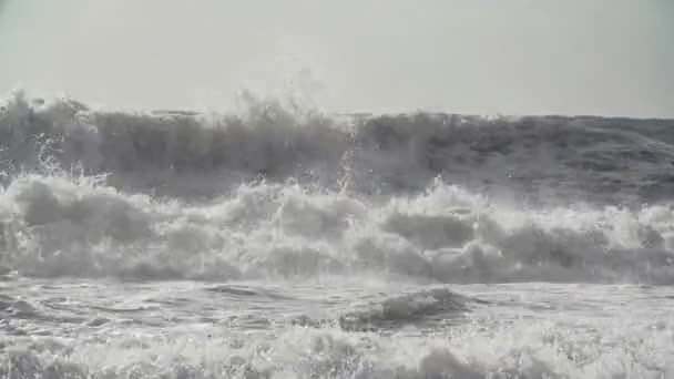 Tempête Mer Grosses Vagues — Video