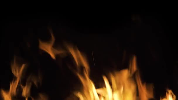 Φλόγες Φωτιάς Μαύρο Φόντο — Αρχείο Βίντεο