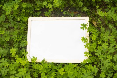 Üç yapraklı yonca arkaplan ve çerçeveli yeşil arka plan. Aziz Patrick Günü bayram sembolü