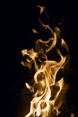 Siyah arka planda ateş alevleri