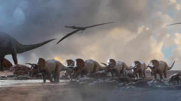 Różne Dinozaury Prehistorycznym Tle Natury Renderowania — Wideo stockowe