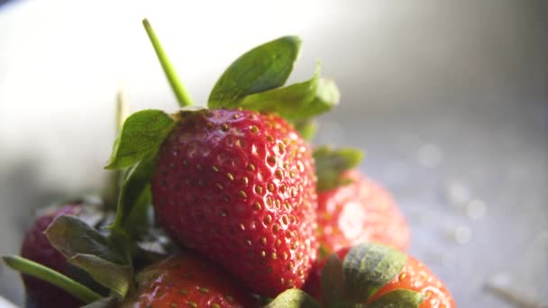 草莓在黑暗的背景下紧密相连 — 图库视频影像