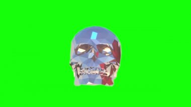 Low Poly Kurukafa, 3 boyutlu görüntüleme 