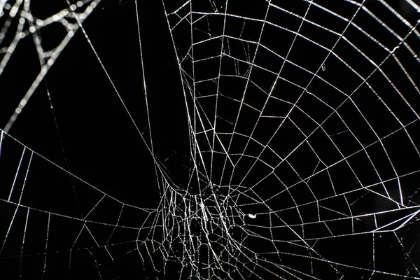 Toile Araignée Halloween Floue Sur Fond Noir — Photo
