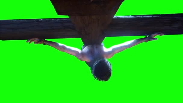 十字架でのイエス キリスト 緑の背景での3Dレンダリング — ストック動画