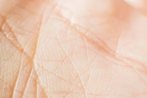 close-up of human hand skin