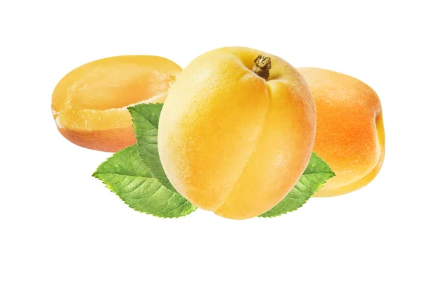 Frutti Albicocca Semi Isolati Fondo Bianco — Foto Stock