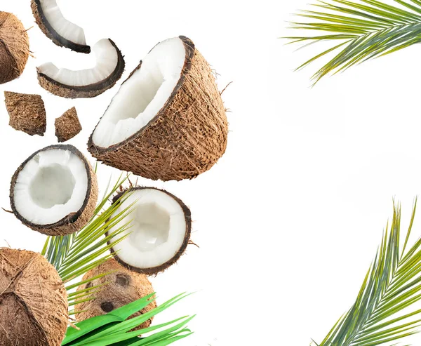 Set Kokosnuss Isoliert Auf Weißem Hintergrund — Stockfoto
