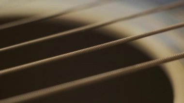 guitar strings vibrate after being touched, close-up