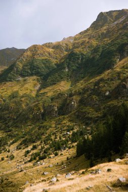 Sonbahar zamanı dağların inanılmaz güzel manzarası.