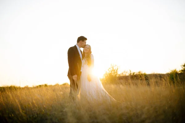 Bella foto di sposa e sposo, in piedi in campo e abbracci — Foto Stock